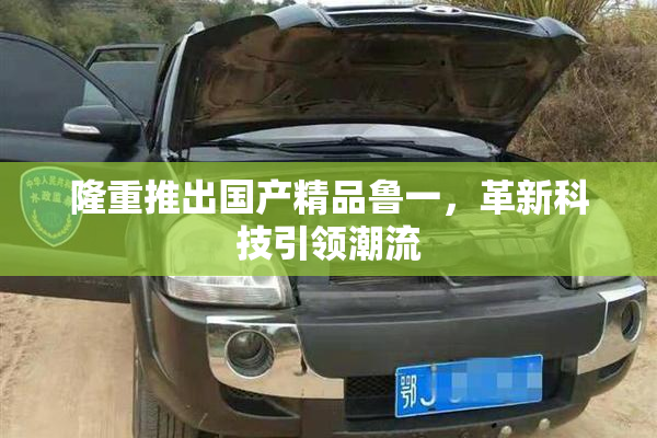 隆重推出国产精品鲁一，革新科技引领潮流