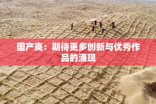 国产爽：期待更多创新与优秀作品的涌现