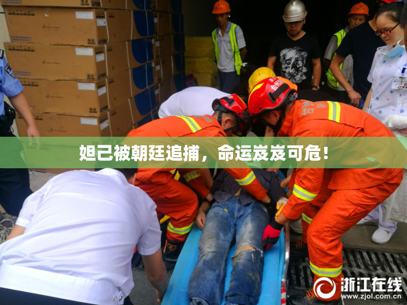 妲己被朝廷追捕，命运岌岌可危！