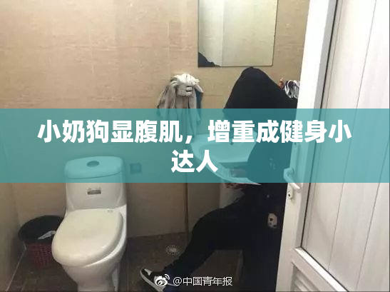 小奶狗显腹肌，增重成健身小达人