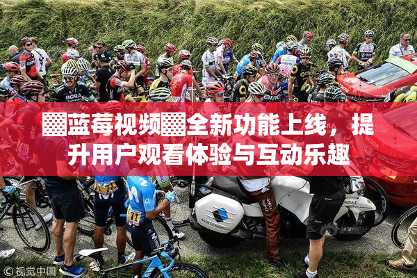 ▓蓝莓视频▓全新功能上线，提升用户观看体验与互动乐趣