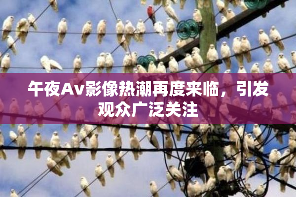 午夜Av影像热潮再度来临，引发观众广泛关注