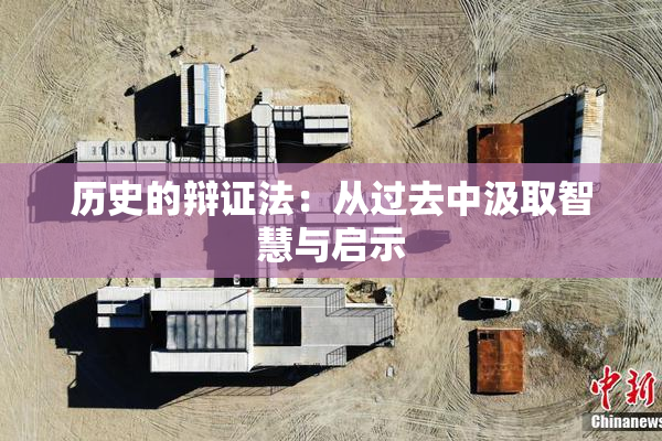 历史的辩证法：从过去中汲取智慧与启示
