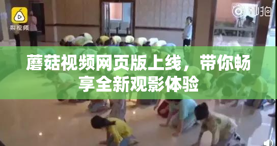 蘑菇视频网页版上线，带你畅享全新观影体验