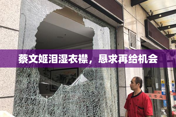 蔡文姬泪湿衣襟，恳求再给机会