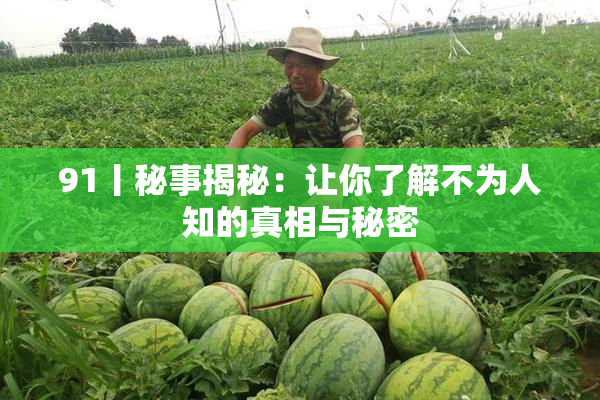 91丨秘事揭秘：让你了解不为人知的真相与秘密
