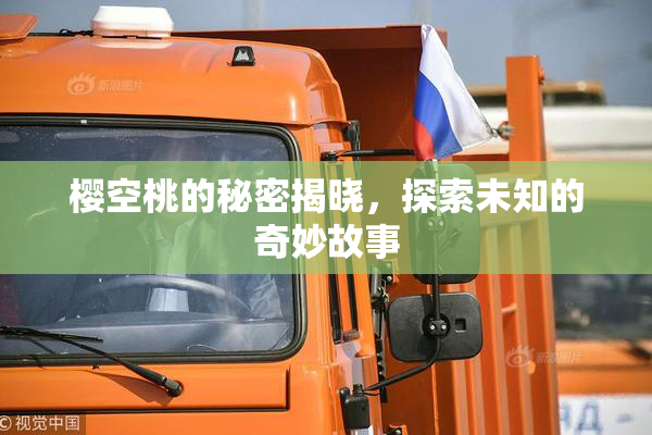 樱空桃的秘密揭晓，探索未知的奇妙故事