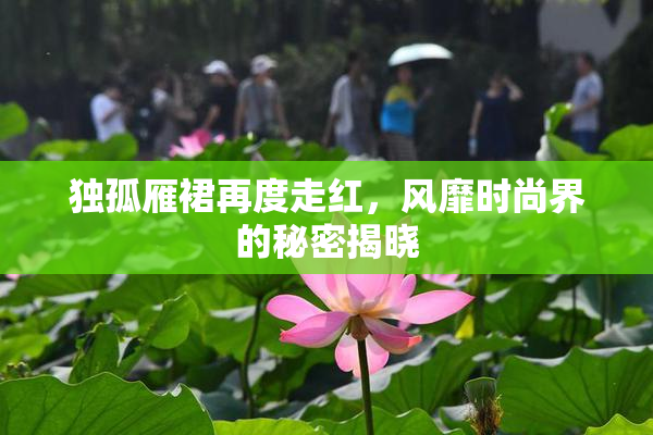 独孤雁裙再度走红，风靡时尚界的秘密揭晓