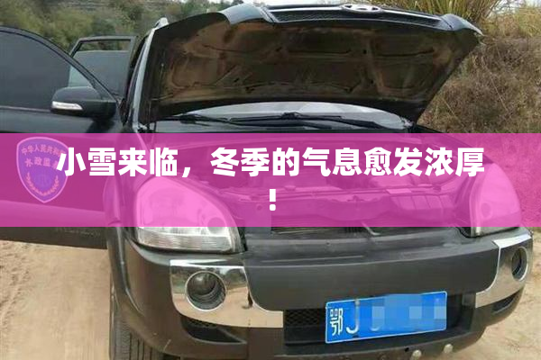 小雪来临，冬季的气息愈发浓厚!