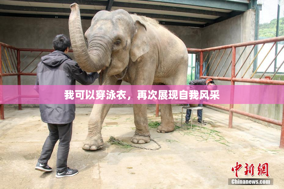 我可以穿泳衣，再次展现自我风采