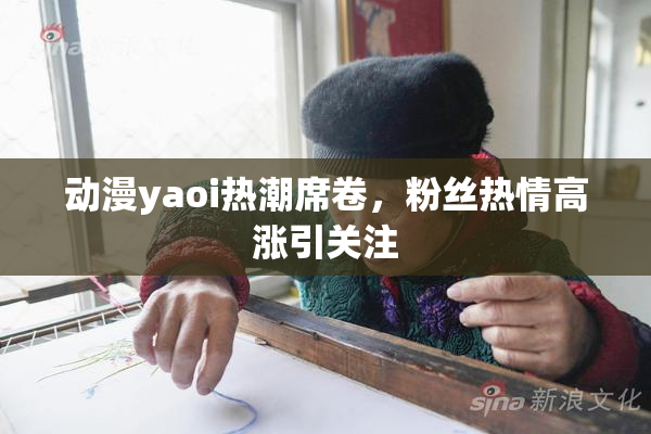 动漫yaoi热潮席卷，粉丝热情高涨引关注