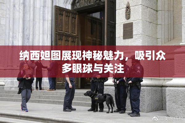 纳西妲图展现神秘魅力，吸引众多眼球与关注