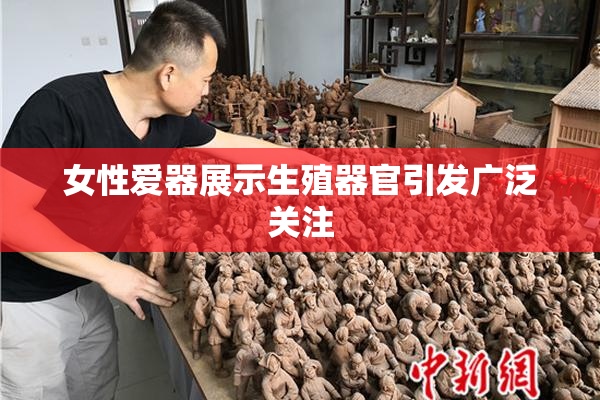 女性爱器展示生殖器官引发广泛关注