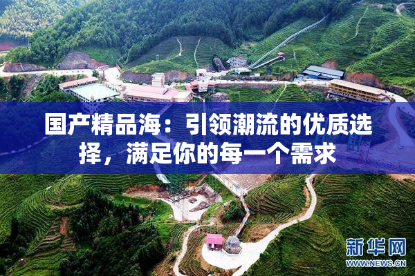 国产精品海：引领潮流的优质选择，满足你的每一个需求