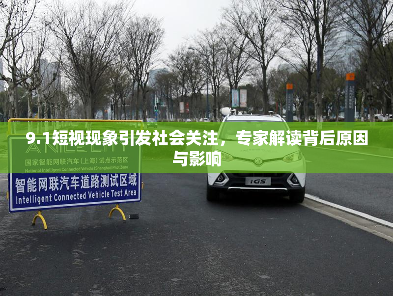 9.1短视现象引发社会关注，专家解读背后原因与影响