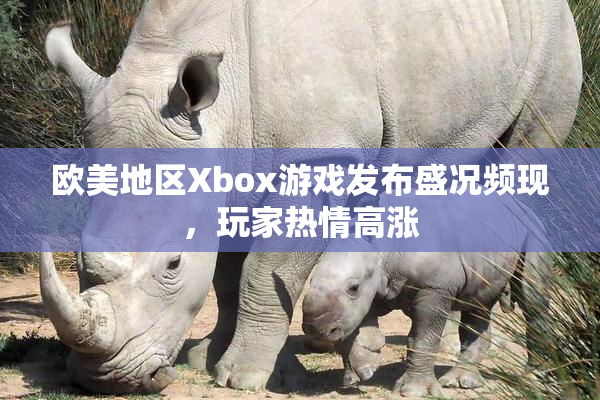 欧美地区Xbox游戏发布盛况频现，玩家热情高涨