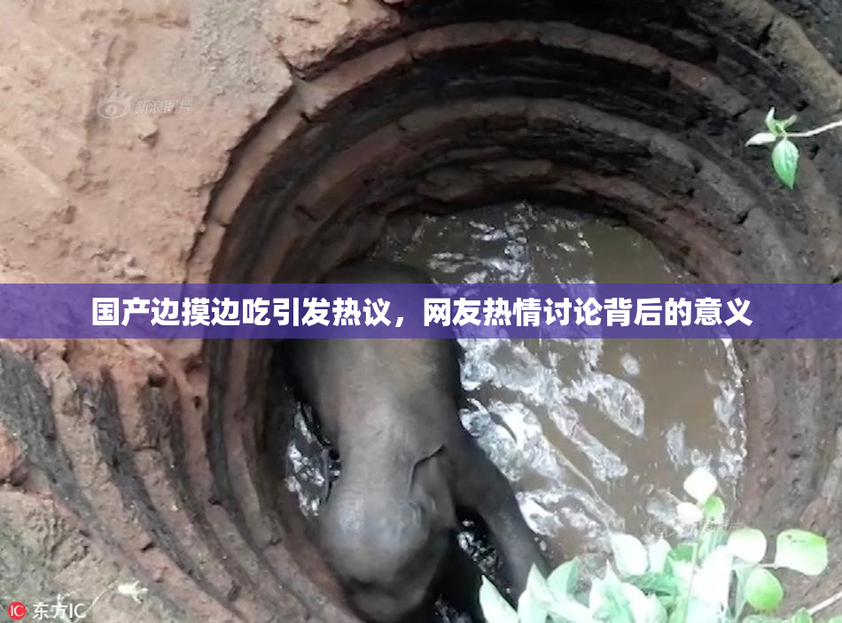 国产边摸边吃引发热议，网友热情讨论背后的意义