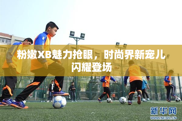 粉嫩XB魅力抢眼，时尚界新宠儿闪耀登场