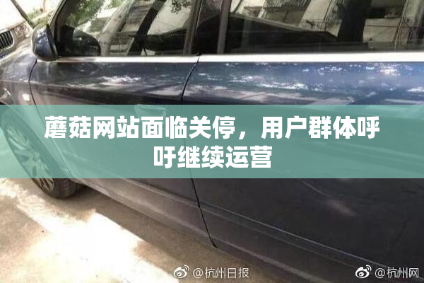 蘑菇网站面临关停，用户群体呼吁继续运营