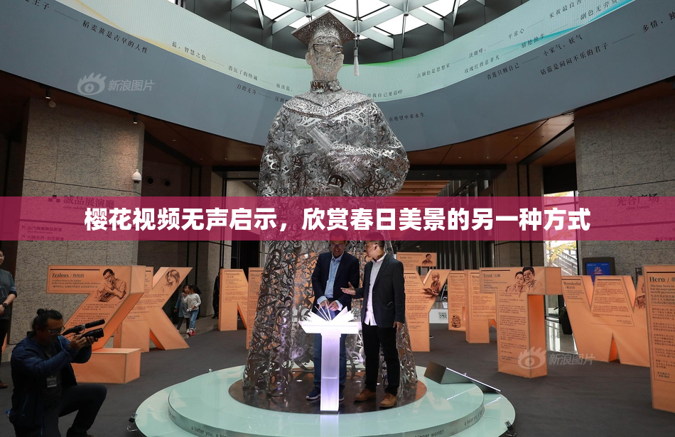 樱花视频无声启示，欣赏春日美景的另一种方式