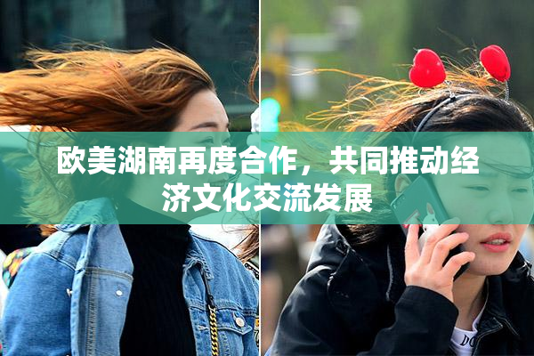 欧美湖南再度合作，共同推动经济文化交流发展