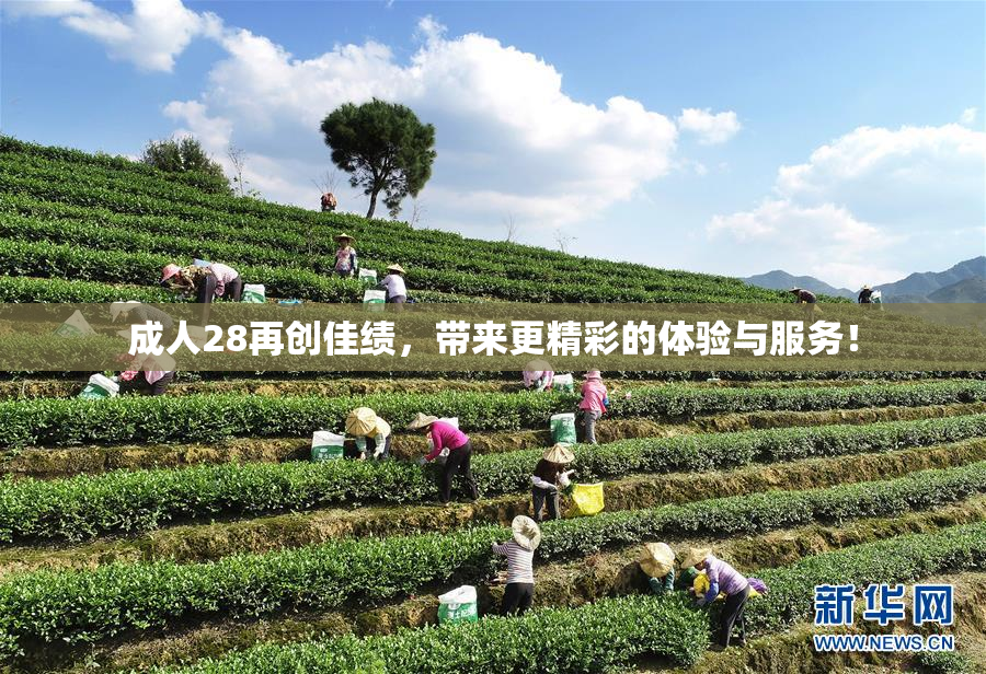 成人28再创佳绩，带来更精彩的体验与服务！