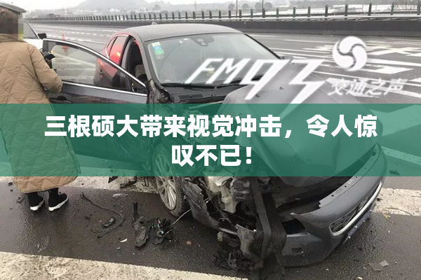 三根硕大带来视觉冲击，令人惊叹不已！