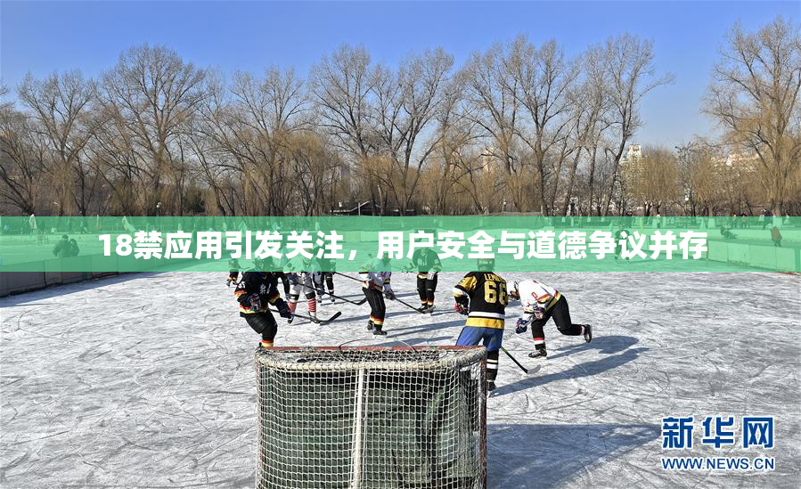 18禁应用引发关注，用户安全与道德争议并存