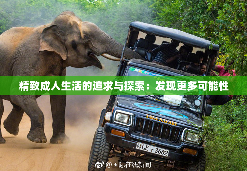 精致成人生活的追求与探索：发现更多可能性