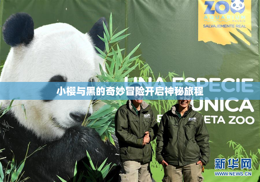 小樱与黑的奇妙冒险开启神秘旅程