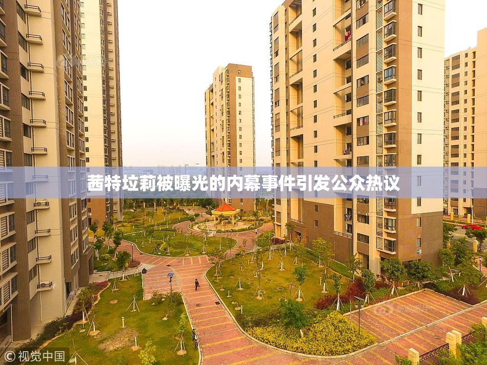 茜特垃莉被曝光的内幕事件引发公众热议