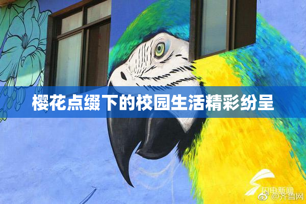 樱花点缀下的校园生活精彩纷呈