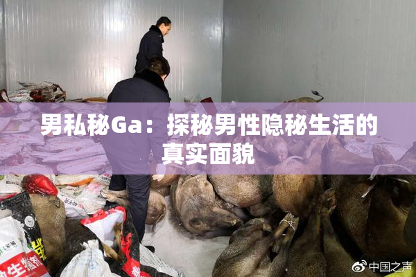 男私秘Ga：探秘男性隐秘生活的真实面貌