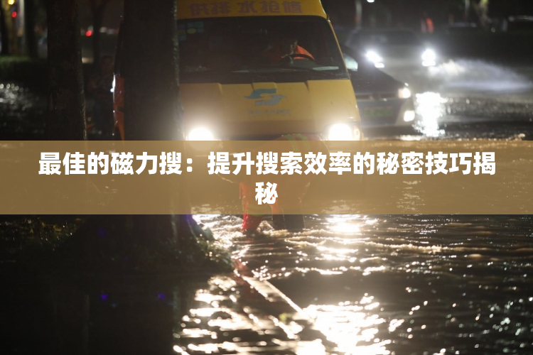 最佳的磁力搜：提升搜索效率的秘密技巧揭秘