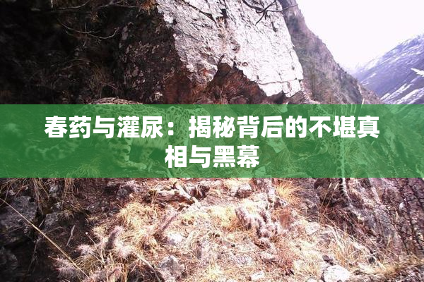 春药与灌尿：揭秘背后的不堪真相与黑幕