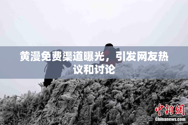 黄漫免费渠道曝光，引发网友热议和讨论