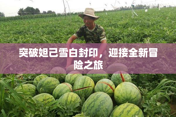 突破妲己雪白封印，迎接全新冒险之旅