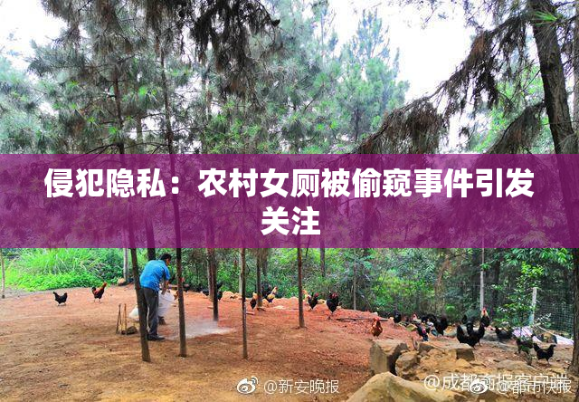 侵犯隐私：农村女厕被偷窥事件引发关注
