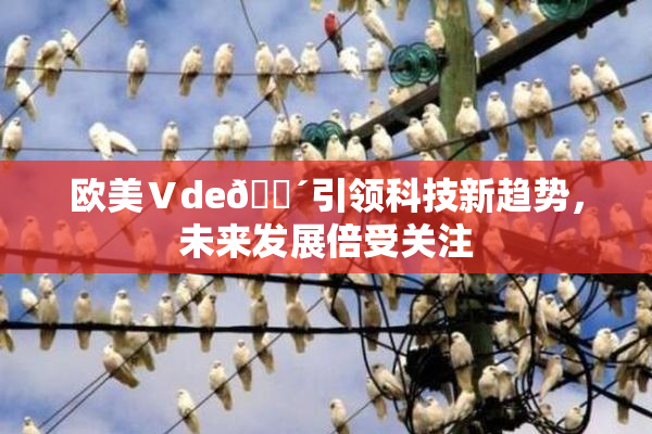欧美Ⅴde🔴引领科技新趋势，未来发展倍受关注