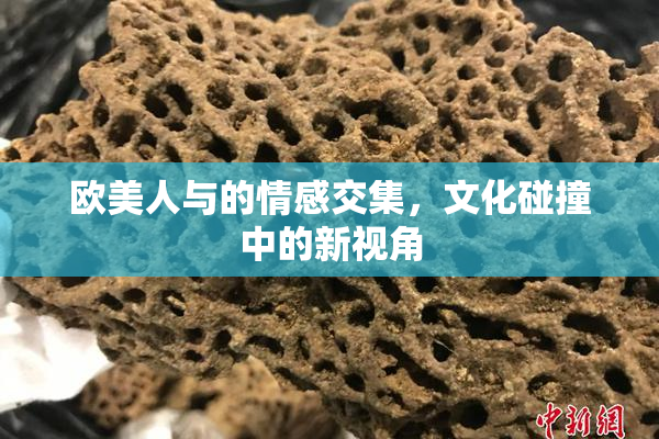 欧美人与的情感交集，文化碰撞中的新视角
