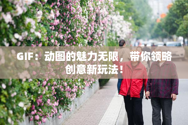 GIF：动图的魅力无限，带你领略创意新玩法！