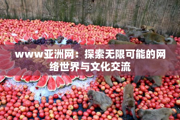 www亚洲网：探索无限可能的网络世界与文化交流