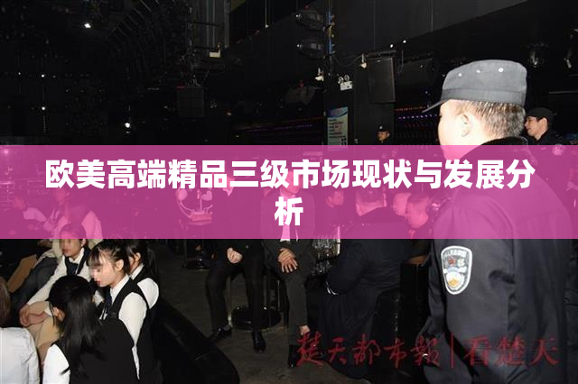 欧美高端精品三级市场现状与发展分析