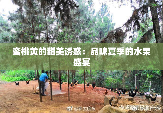 蜜桃黄的甜美诱惑：品味夏季的水果盛宴