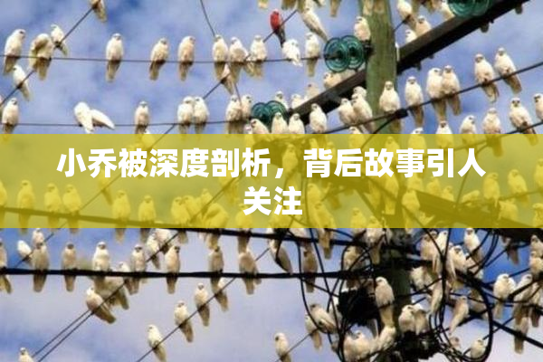 小乔被深度剖析，背后故事引人关注