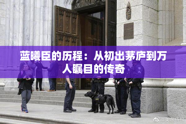 蓝曦臣的历程：从初出茅庐到万人瞩目的传奇