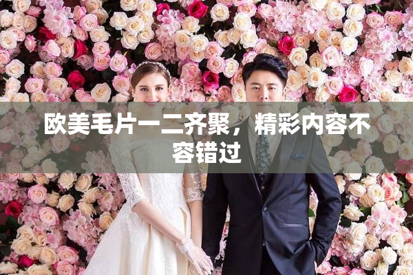 欧美毛片一二齐聚，精彩内容不容错过