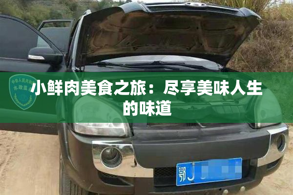 小鲜肉美食之旅：尽享美味人生的味道