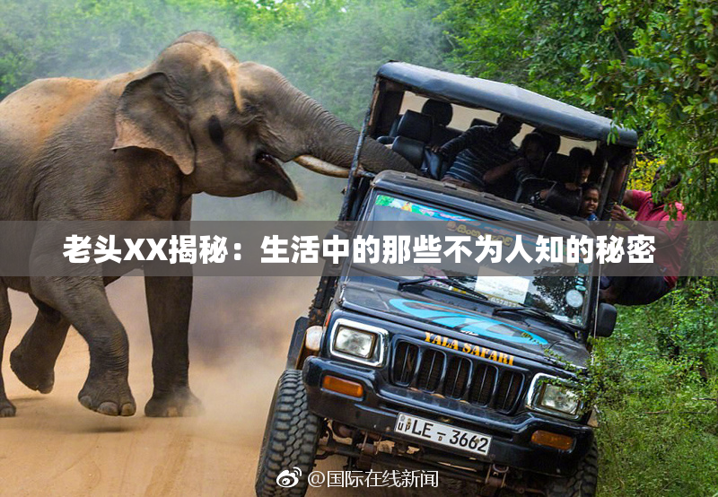 老头XX揭秘：生活中的那些不为人知的秘密