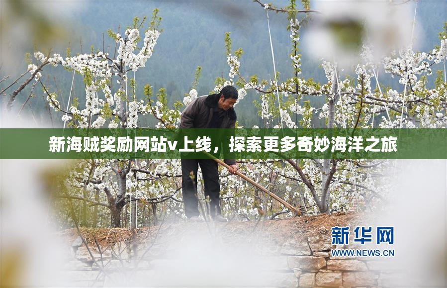 新海贼奖励网站v上线，探索更多奇妙海洋之旅